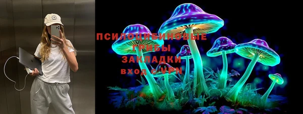 ГАЛЛЮЦИНОГЕННЫЕ ГРИБЫ Белоозёрский