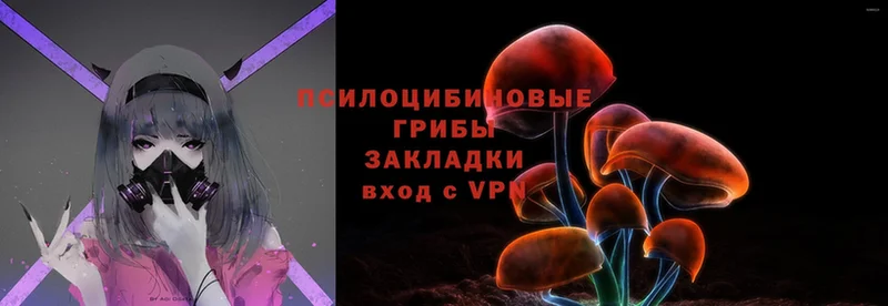 Псилоцибиновые грибы Magic Shrooms  что такое наркотик  Дегтярск 